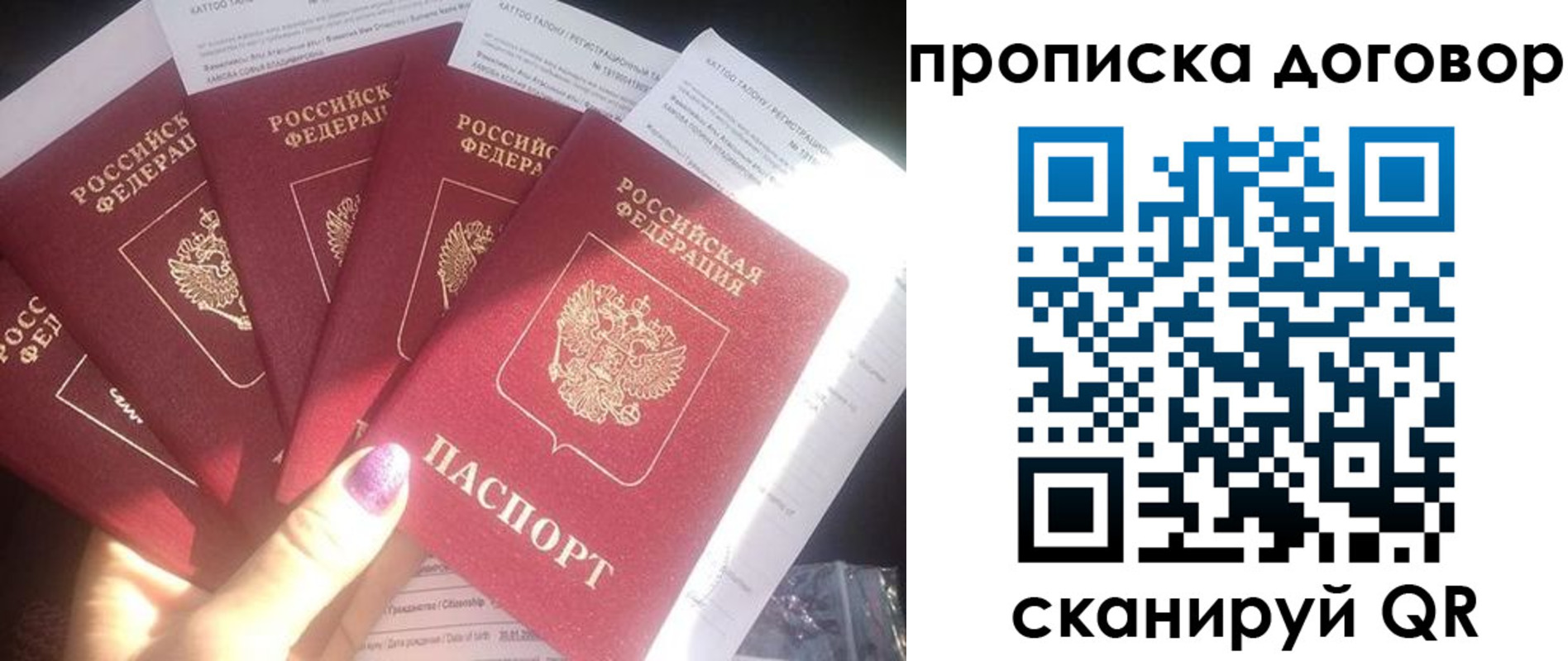 где прописаться в Смоленской области