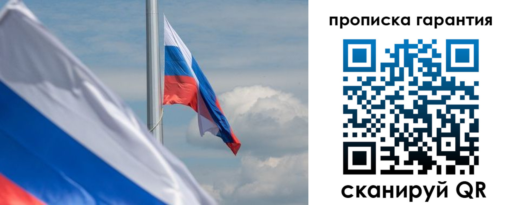 прописка поиск в Смоленской области